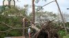 Some in Florida and Alabama without power as Isaias moves north to Appalachians and Mid-Atlantic