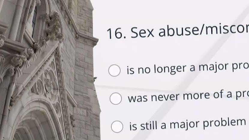 Catholic Church Employees Views on Abuse Revealed
