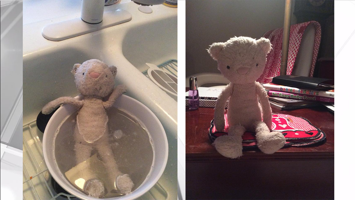 Lost 'Jellycat' Teddy Bear Found in Fort Lauderdale