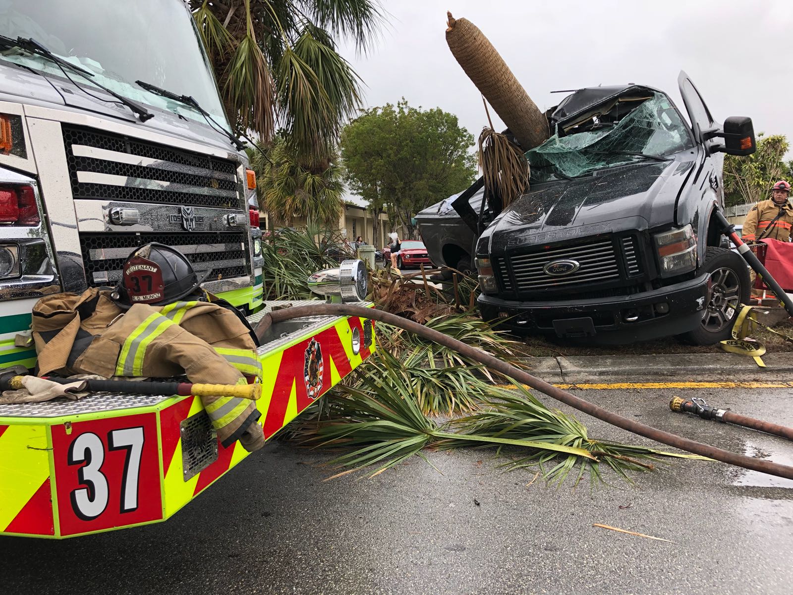 2 Hurt After Truck Crashes Into Palm Tree in SW Miami-Dade