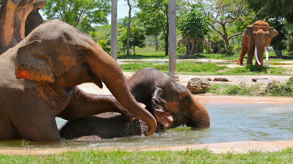 FIFA, Films and Fitness: South Florida Weekend Round-Up