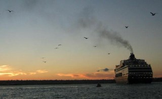 Groped at Sea: Cruise Worker Admits to Sex Assault