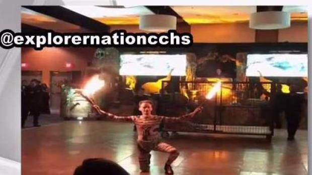 [MI] Caged Tiger at Jungle-Themed Prom Sparks Outrage