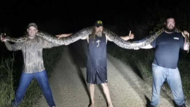 [NATL] Florida Snake Hunters Bag at Least 17-Foot Long Python
