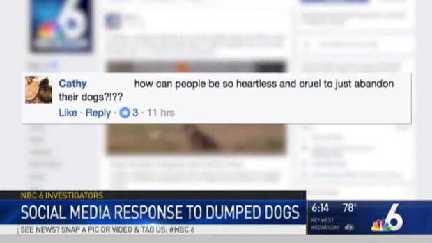 [MI] Social Media Response to Dumped Dogs Investigation