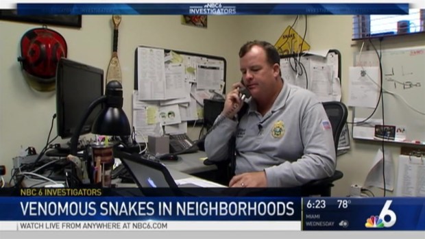 [MI] Venomous Snakes in South Florida Neighborhoods