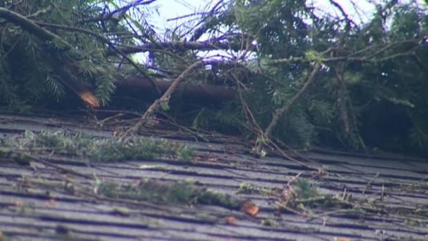 [MI] Tree Splits House in Half After Falling in Storm