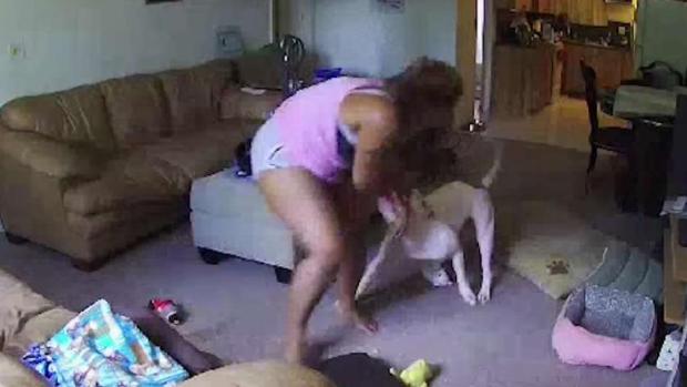 Woman Severely Injured After Dog Attack Caught on Camera