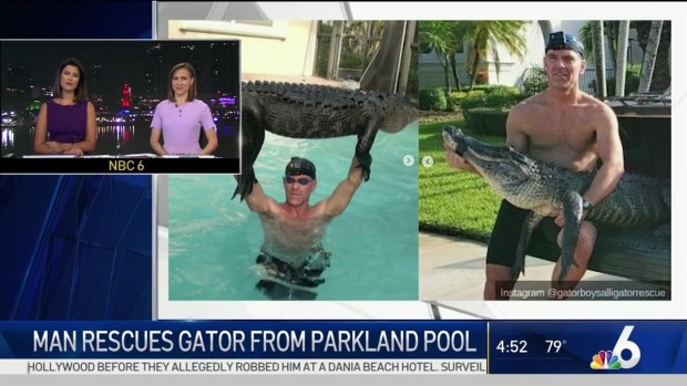 Man Rescues Nearly 9-Foot Gator from Parkland Pool