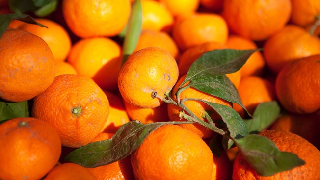 Florida Growers Worry About Cuban Imports Florida Growers Worry About Cuban Imports