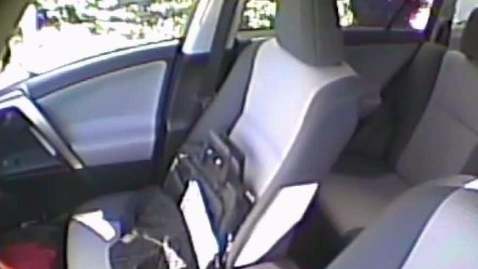 Hidden Cameras Reveal Rare View of 'Epidemic' as Car BreakIns Hit
