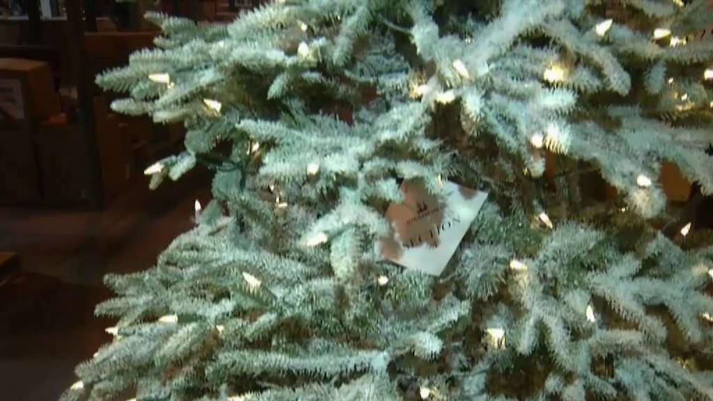 The Daily Mix: A Closer Look at the Top Stories for Nov. 14