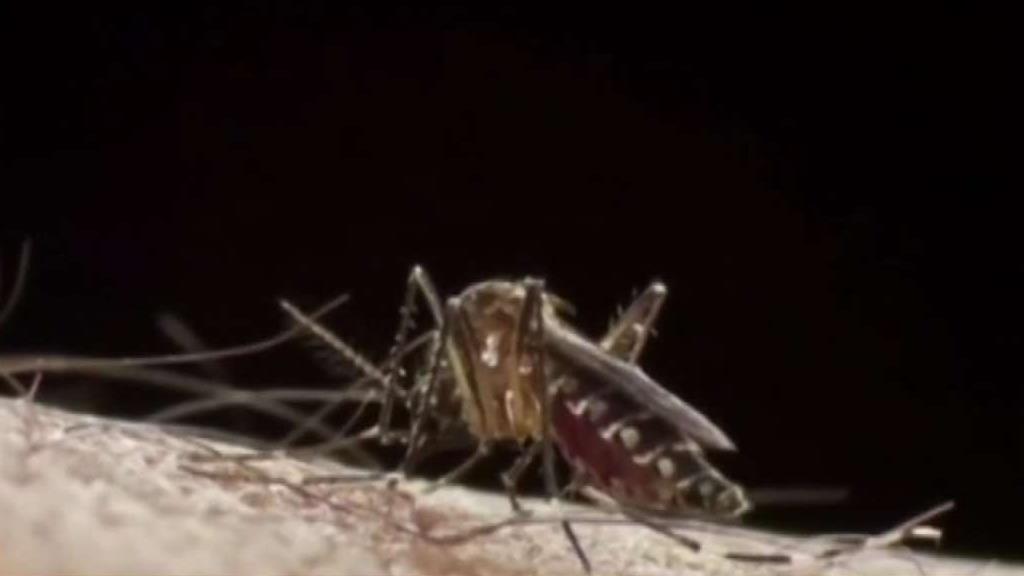 The Daily Mix: A Closer Look at the Top Stories for Nov. 20