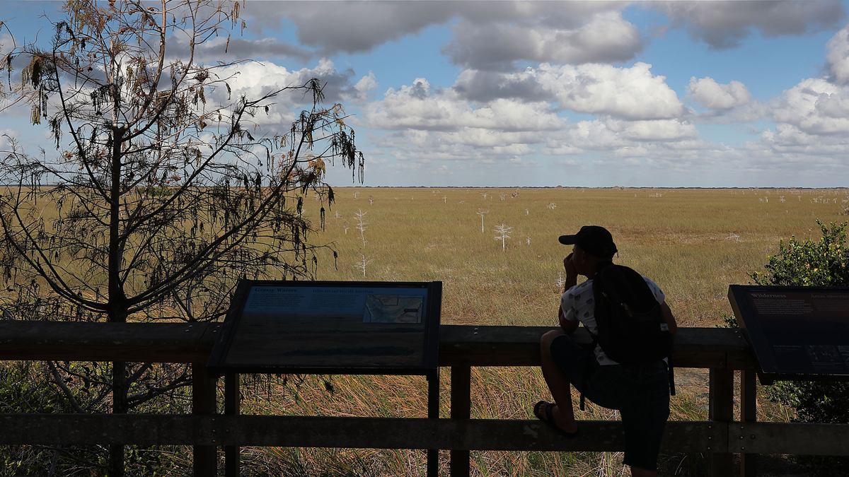 Volunteers Keep Everglades National Park Running Amid Shutdown