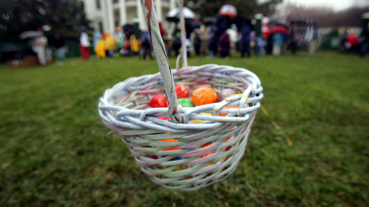 Weekend Roundup: Bunnies, Bimmers & Belle & Beast