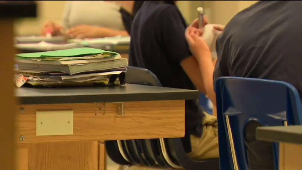 'White Racism' Course to be Offered at Florida University