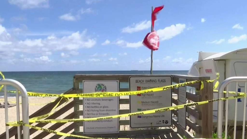 Red Tide Testing Underway For Broward, Miami-Dade Beaches