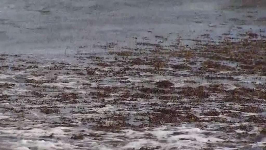 The Daily Mix: A Closer Look at the Top Stories for Oct. 4