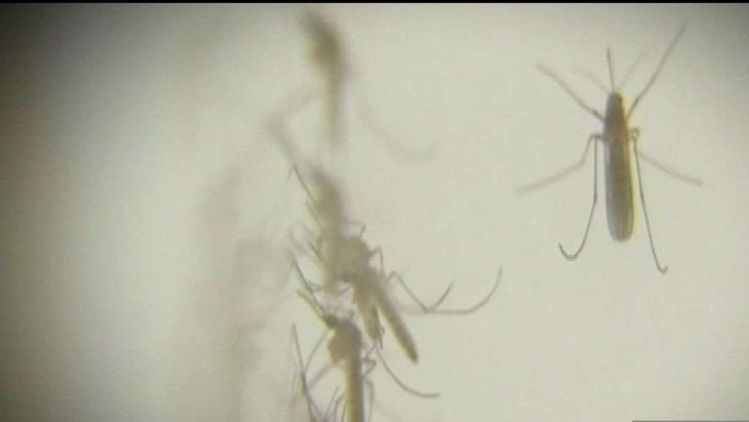 2nd Case of West Nile Virus Confirmed in Palm Beach County