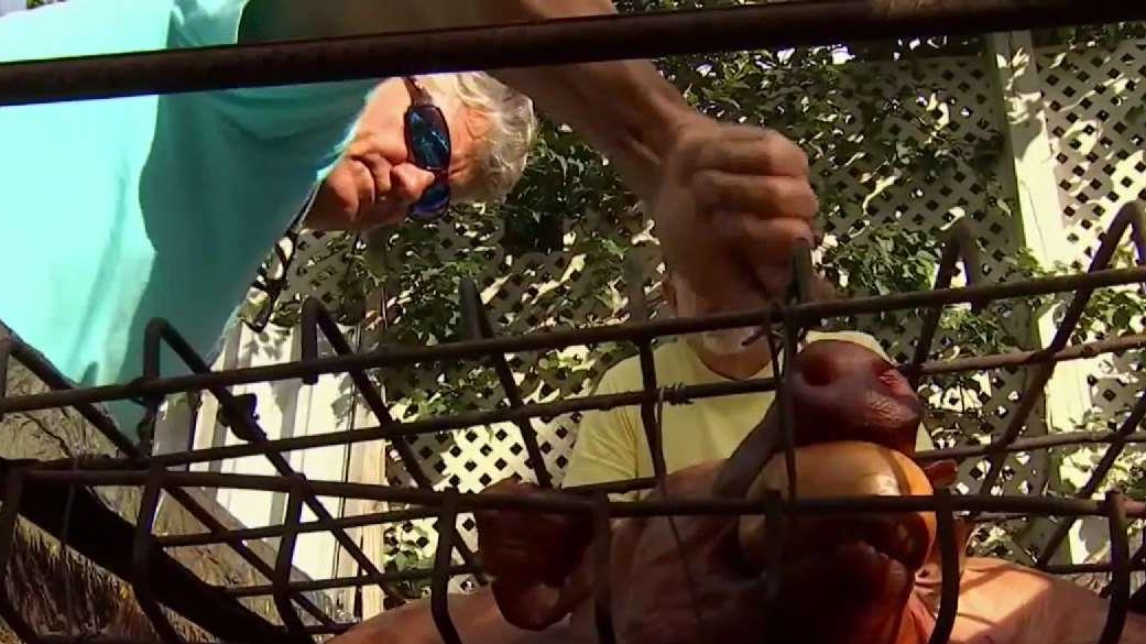 Families Around South Florida Celebrate Nochebuena