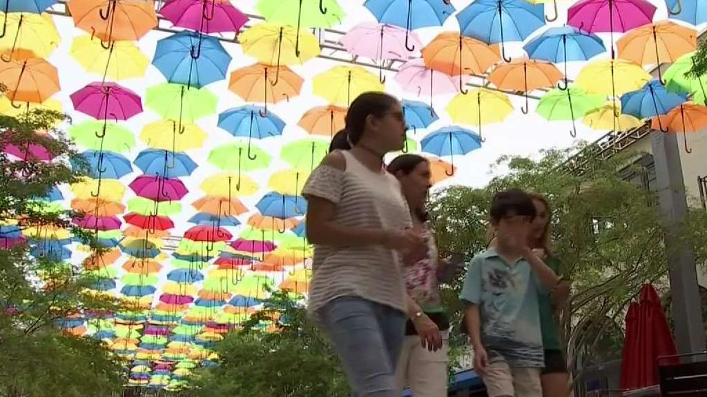 Coral Gables Umbrellas on Sale Ahead of Display's Final Days