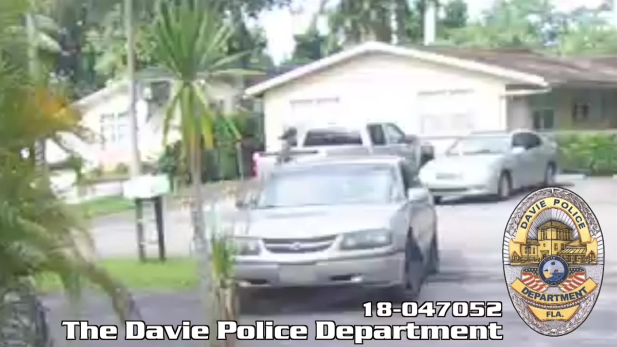 Man Caught on Camera Stealing Pit Bull, Burglarizing Home