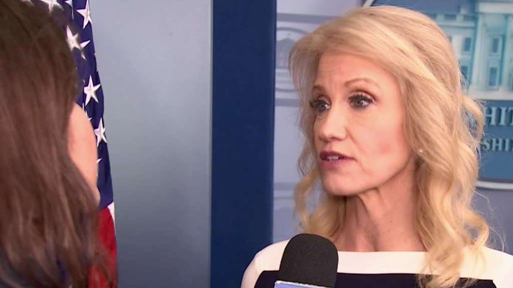 White House's Kellyanne Conway Talks Korea, DACA With NBC 6