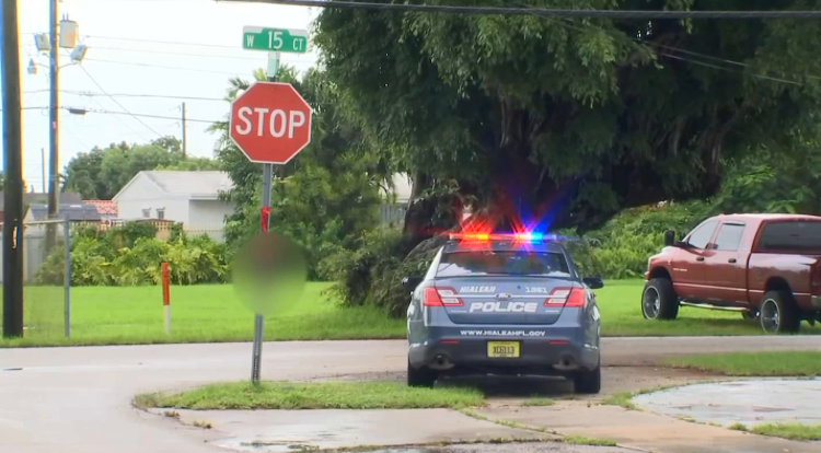 Man Hangs Dead Ducks From Stop Sign to Slow Speedy Drivers