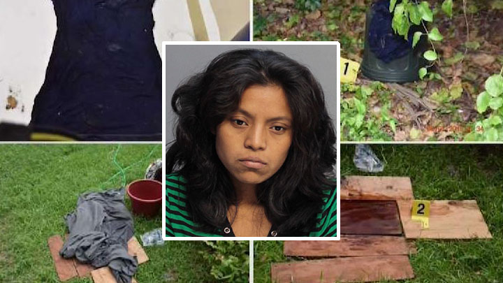 New Evidence After Mom Allegedly Leaves Baby in Plant Pot