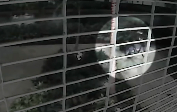 Video: Woman Dragged as Robber Steals Purse in Brickell