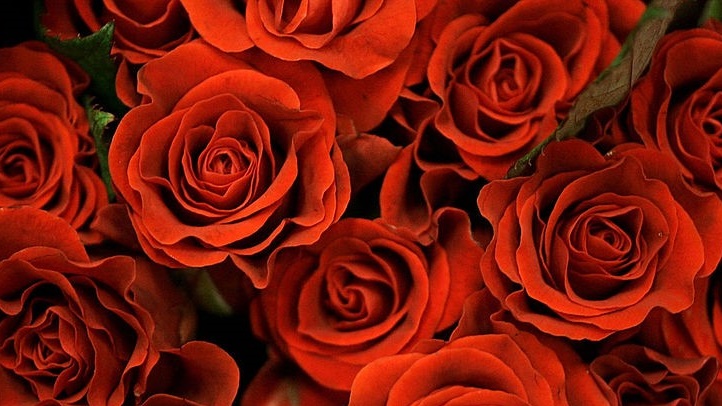 Hialeah, Miami Named Worst US Cities for Valentine's Day