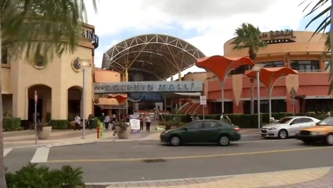 Gun Stolen From Woman's Purse at Dolphin Mall: Police